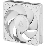 ARCTIC ACFAN00308A bianco
