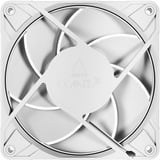 ARCTIC ACFAN00308A bianco