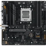 ASUS 90MB1F00-M0EAY0, Scheda madre 