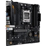 ASUS 90MB1F00-M0EAY0, Scheda madre 