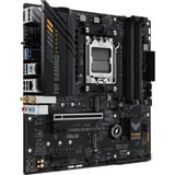 ASUS 90MB1F00-M0EAY0, Scheda madre 