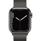 Apple Smartwatch grafite/grafite