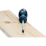 Bosch Set di cacciaviti e utensili manuali, 19 pezzi, Set pinze blu