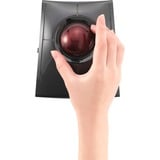Kensington Trackball SlimBlade Pro Nero/rosso scuro, Ambidestro, Ottico, RF Wireless + Bluetooth + USB Type-A, 1600 DPI, Nero