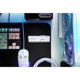 Kingston FURY KF556C40BWA-32, Memoria bianco