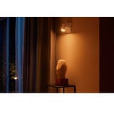 Philips Hue Faretto singolo Argenta, Luce LED bianco, Philips Hue White and Color ambiance Faretto singolo Argenta, Bluetooth/Zigbee, Bianco, LED, Metallo, Multi, 2000 K