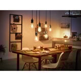 Philips Hue White Filament Lampe E27 Giant Edison ST72 550 lm, Lampada a LED 