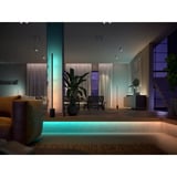 Philips Hue White & Color Ambiance Gradient Ambience Lightstrip incl. prolunga, Striscia LED 