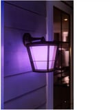 Philips White & Color Ambiance Econic Outdoor applique da parete sospesa, Luce LED Nero
