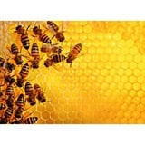 Ravensburger 12000614, Puzzle 