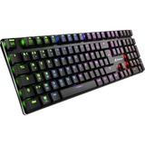 Sharkoon PureWriter RGB tastiera USB AZERTY Francese Nero Nero, USB, Interruttore a chiave meccanica, AZERTY, LED RGB, Nero