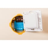 Shelly 1L, Relè ciano