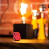 Shelly Blu Button1, Pulsante rosso