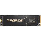 Team Group TM8FM7004T0C133, Disco a stato solido Nero