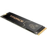 Team Group TM8FM7004T0C133, Disco a stato solido Nero