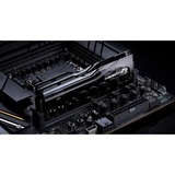 G.Skill F5-9600C4658H24GX2-TZ5CK Nero