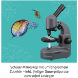KOSMOS 33414758 giocattolo e kit di scienza per bambini, Casella di esperimento Microscopio, Sviluppo, 10 anno/i