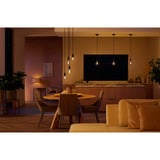 Philips Hue White Ambiance Filament lampada E27 Giant Globe 550 lm, Lampada a LED 