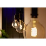 Philips Hue White Ambiance Filament lampada E27 Giant Globe 550 lm, Lampada a LED 