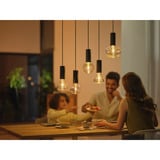 Philips Hue White & Color Ambiance Lightguide Triangle - Lampada smart E27, Lampada a LED 