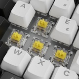 Sharkoon SKILLER SGK50 S3, Tastiera da gioco bianco