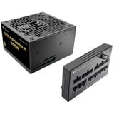 Thermaltake Dockpower FI 850W, Alimentatore PC Nero