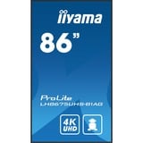 iiyama LH8675UHS-B1AG visualizzatore di messaggi Pannello piatto per segnaletica digitale 2,17 m (85.6") LCD Wi-Fi 500 cd/m² 4K Ultra HD Nero Processore integrato Android 11 24/7, Public Display Nero (opaco), Pannello piatto per segnaletica digitale, 2,17 m (85.6"), LCD, 3840 x 2160 Pixel, Wi-Fi, 24/7