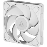 ARCTIC ACFAN00317A, Ventola bianco