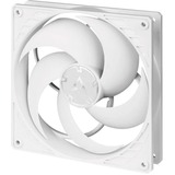 ARCTIC P14 PWM PST Case per computer Ventilatore 14 cm Bianco, Ventola bianco, Ventilatore, 14 cm, 200 Giri/min, 1700 Giri/min, 0,3 son, 123,69 m³/h