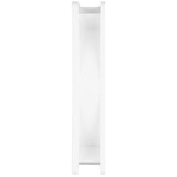 ARCTIC P14 PWM PST Case per computer Ventilatore 14 cm Bianco, Ventola bianco, Ventilatore, 14 cm, 200 Giri/min, 1700 Giri/min, 0,3 son, 123,69 m³/h