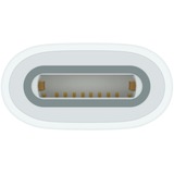 Apple Adattatore USB, presa USB-C > presa Apple Pencil bianco