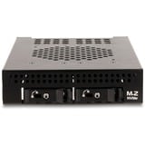 DeLOCK Telaio rimovibile da 3,5″ per 2 x M.2 NVMe SSD, Telaio di montaggio 