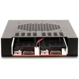 DeLOCK Telaio rimovibile da 3,5″ per 2 x M.2 NVMe SSD, Telaio di montaggio 