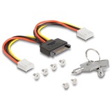 DeLOCK Telaio rimovibile da 3,5″ per 2 x M.2 NVMe SSD, Telaio di montaggio 