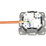 Digitus Presa dati CAT.6A da incasso, schermata, 1x RJ-45 LSA, Scatola di giunzione bianco