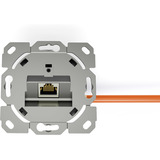 Digitus Presa dati CAT.6A da incasso, schermata, 1x RJ-45 LSA, Scatola di giunzione bianco