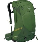 Osprey Stratos 34, Zaino verde