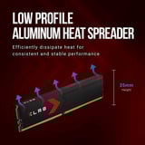 PNY DIMM 32 GB DDR5-6400 (2x 16 GB) Kit duale, Memoria Nero