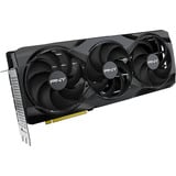 PNY GeForce RTX 5080, Scheda grafica 