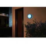 Philips Hue 929003052901, Luce LED Nero