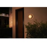 Philips Hue Hue White & Color Ambiance Daylo lampada da parete, Luce LED Nero