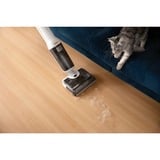 Roborock 6974653812294, Aspira bagnato / asciutto bianco