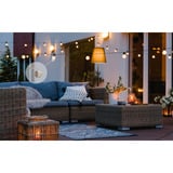 Shelly Pacchetto natalizio 2, set 