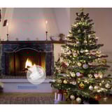 Shelly Pacchetto natalizio 2, set 