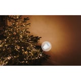 Shelly Pacchetto natalizio 2, set 