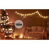 Shelly Pacchetto natalizio 2, set 