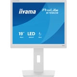 iiyama B1980S-W1, Monitor LED bianco (matto)