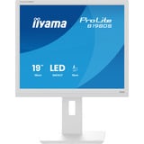 iiyama B1980S-W1, Monitor LED bianco (matto)