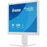 iiyama B1980S-W1, Monitor LED bianco (matto)
