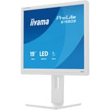 iiyama B1980S-W1, Monitor LED bianco (matto)